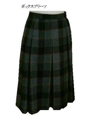 skirt08