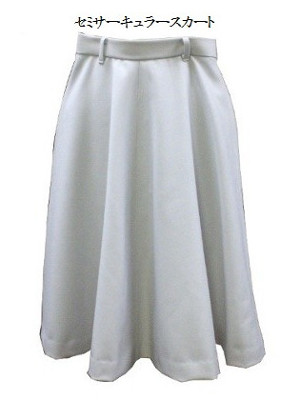 skirt12