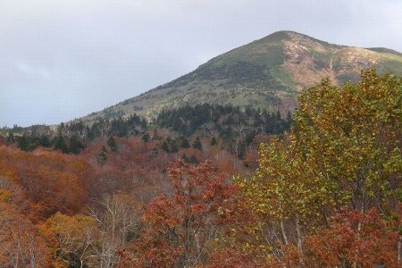 八甲田山紅葉