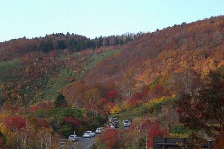 八甲田山紅葉