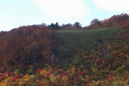 八甲田山紅葉