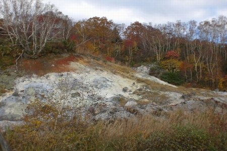 八甲田山紅葉