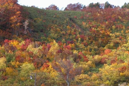 酸ヶ湯温泉紅葉